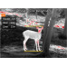 Монокуляр тепловізионний GUIDE TrackIR Pro 640x480 50 мм 2,9-23,2x Монокуляр тепловізионний GUIDE TrackIR Pro 640x480 50 мм 2,9-23,2x